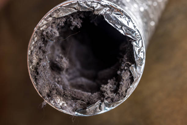 Best Air Duct Cleaning Near Me  in South Burlington, VT