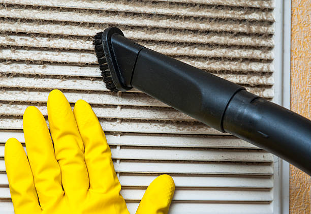 Best Air Duct Sanitizing Services  in South Burlington, VT